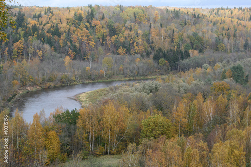 autumn landscape with river Gauja national park in Latvia 