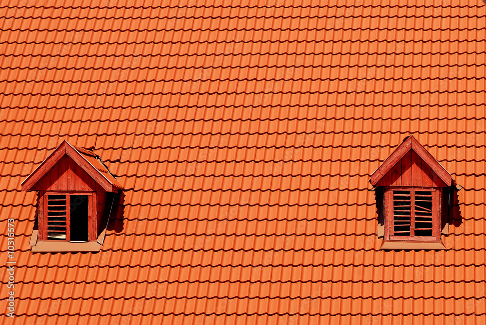 Orange roof tile in carpathians castle with two windows Orange roof tile in carpathians castle with two windows