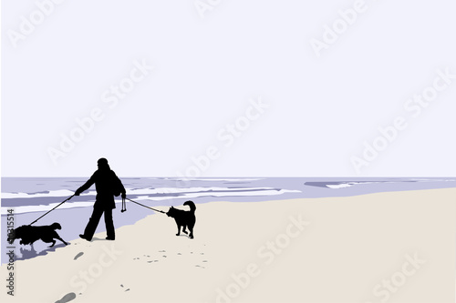 vector illustration of man walking his dogs