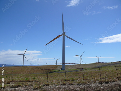 Wind energy turbines on Big Island