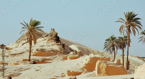Dune et desert