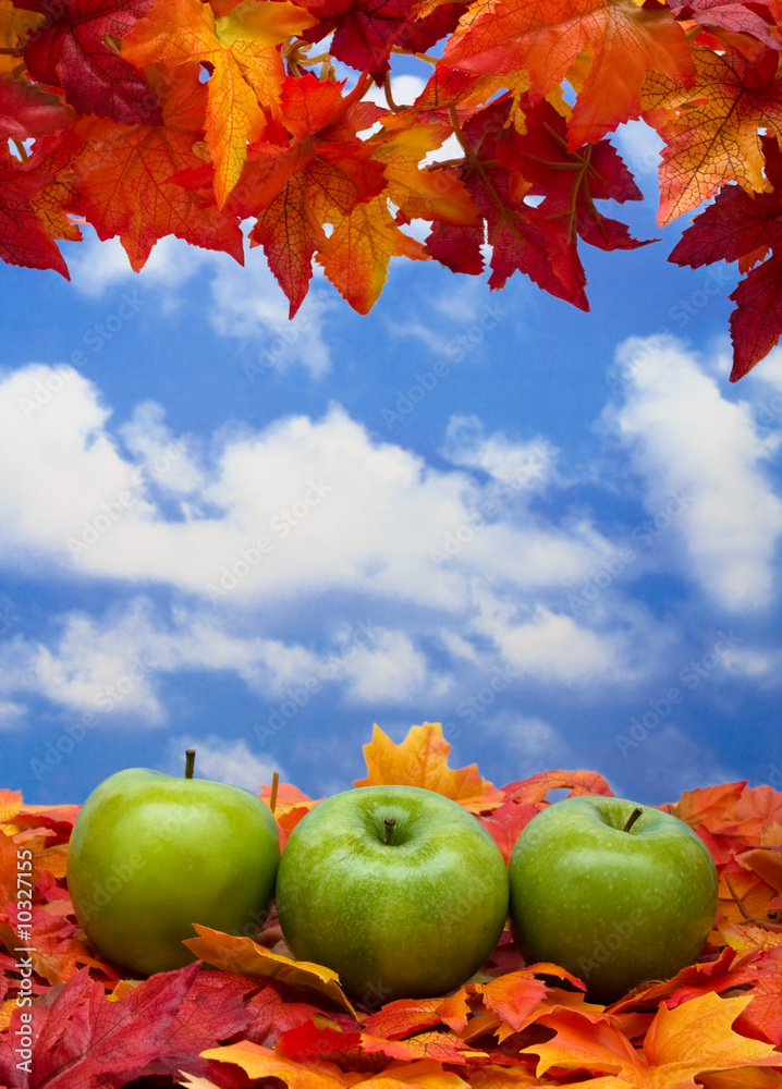 Fall leaves with green apples on sky background, fall scene Fall leaves with green apples on sky background, fall scene