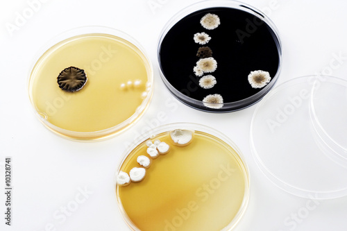 Microbiology