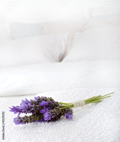 bouquet of lavender on a white towel on a bed