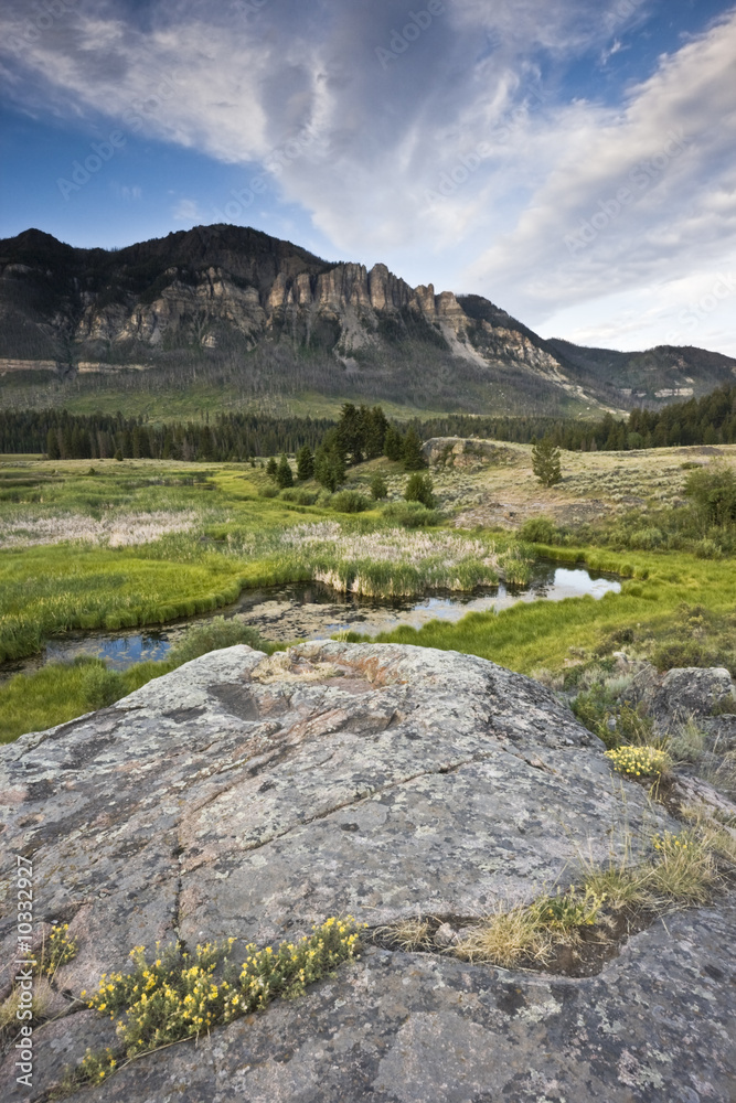Fototapeta premium Landscape of Wyoming - Yellowstone Area.