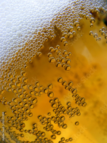 Beer - close up