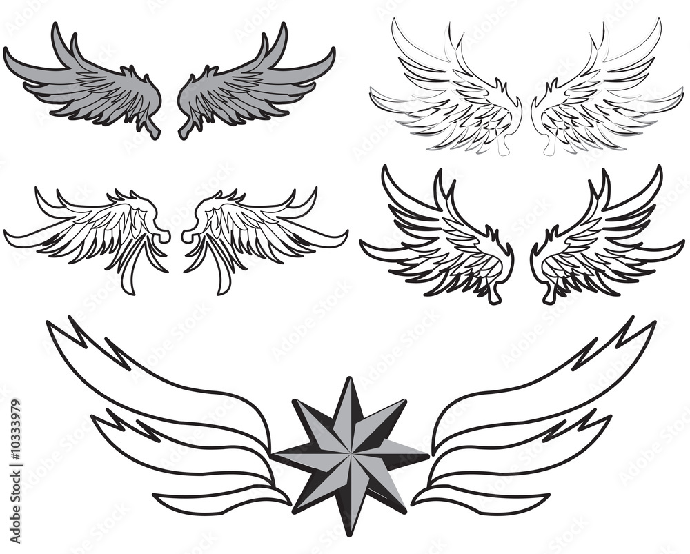 a set of feather wings illustration on the white background