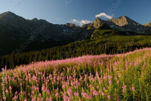 Landscape of Tatra Mountains, Poland