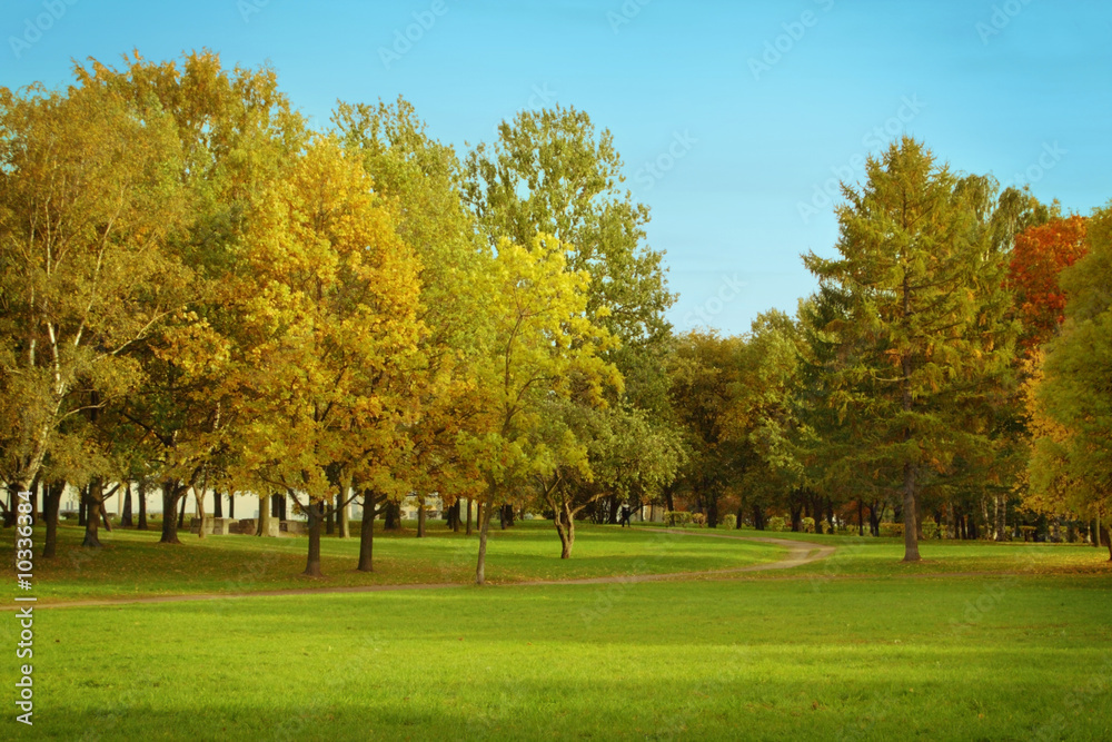 Obraz premium Landscape