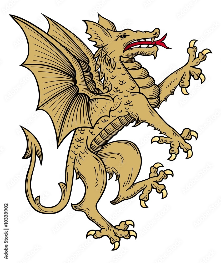 gold dragon gold dragon
