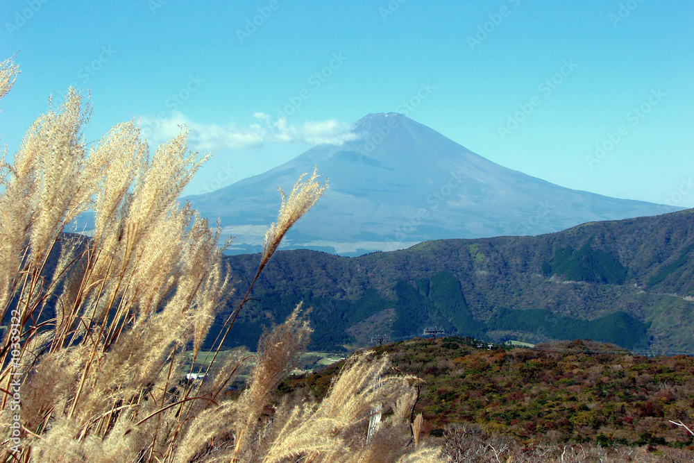 Fototapeta premium Mount Fuji, view from Hakone in autumn