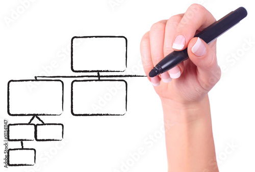 Female hand drawing black chart in whiteboard