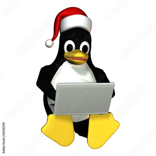 Photography Weihnachts - Pinguin