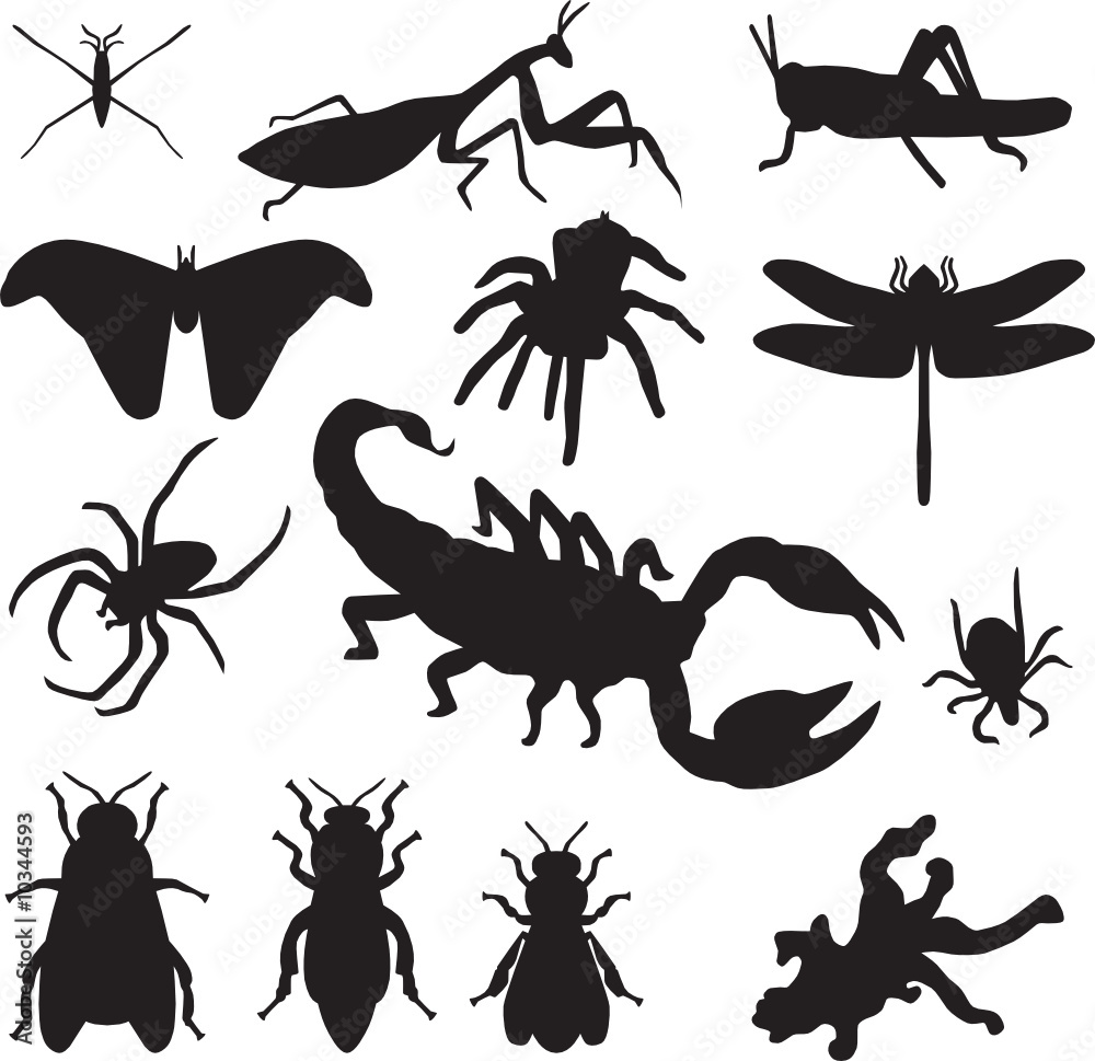 insect silhouette vector insect silhouette vector