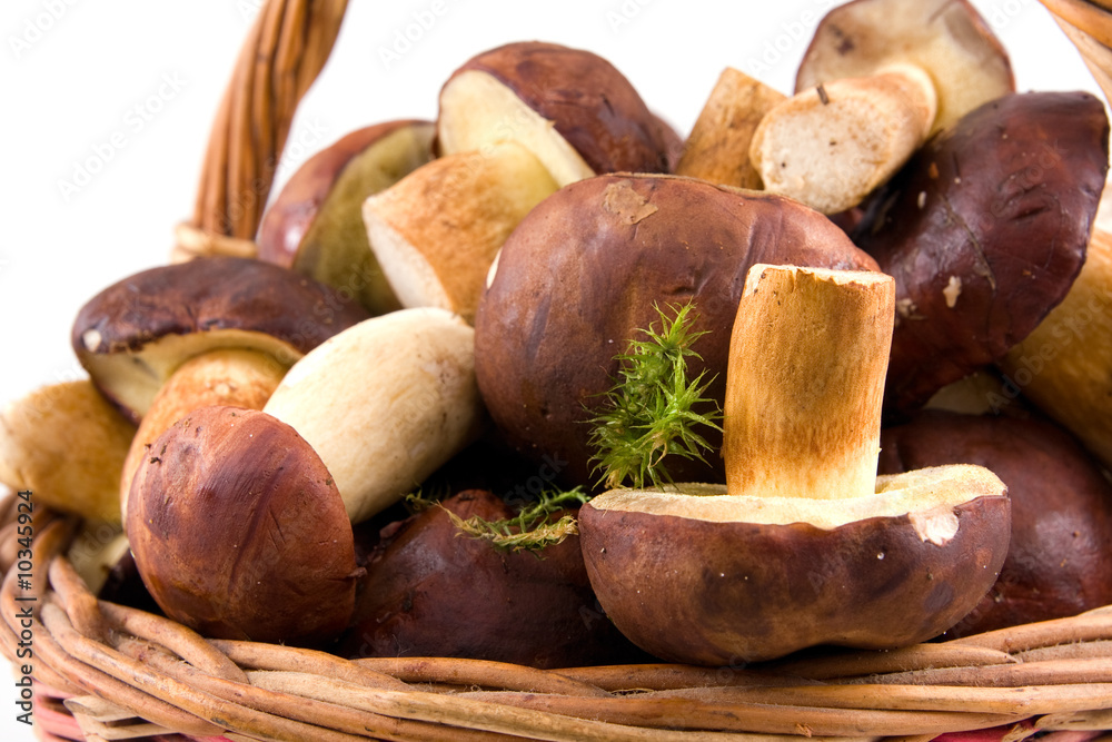 full basket mushrooms isolated on a white background full basket mushrooms isolated on a white background