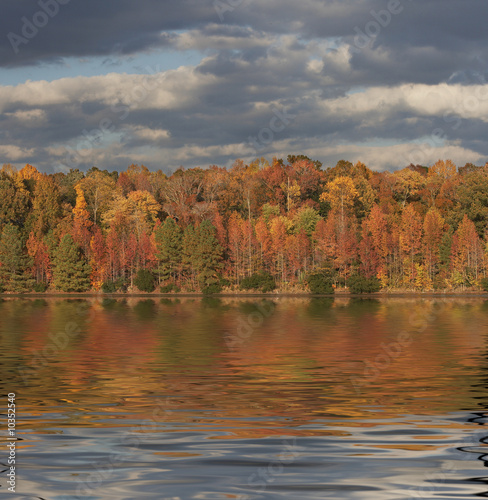 a picture of fall trees and water