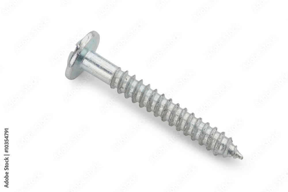 Screw Screw