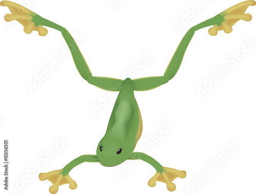 Frog illustration jumping or leaping into the air