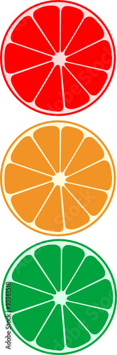 Abstract vector citrus as t...