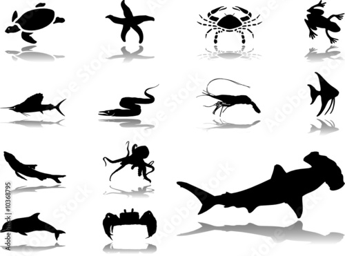 Set icons. Fish
