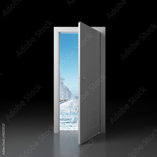 Door in winter