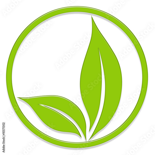 Logo feuilles