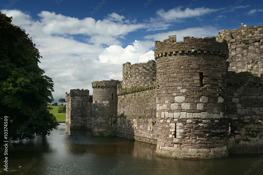 A castle with a moat