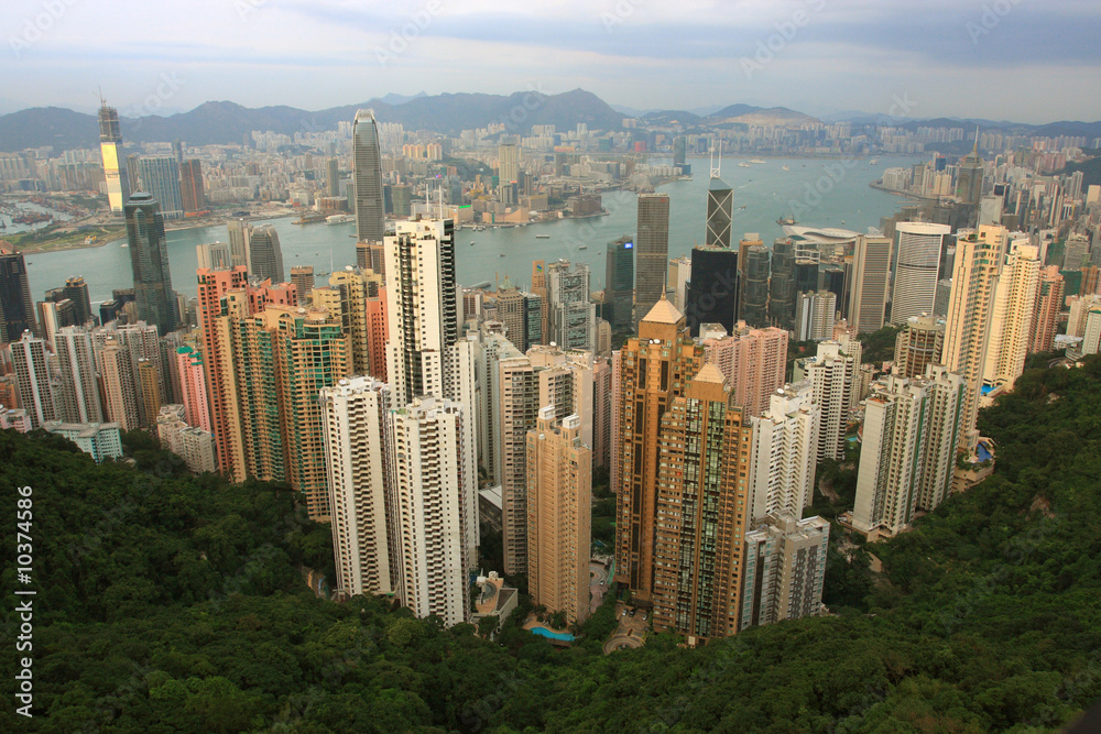 Fototapeta premium A Panoramic Skyline of Hong Kong City from the Peak.