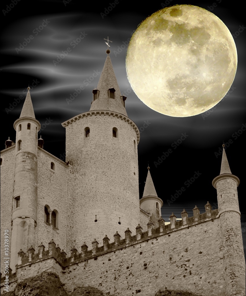 Fototapeta premium chateau noir