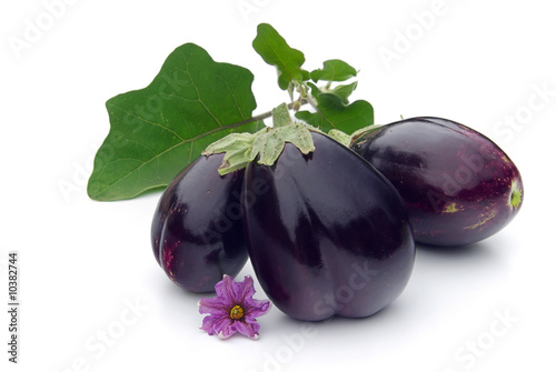 Aubergine 07
