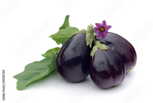 Aubergine 10