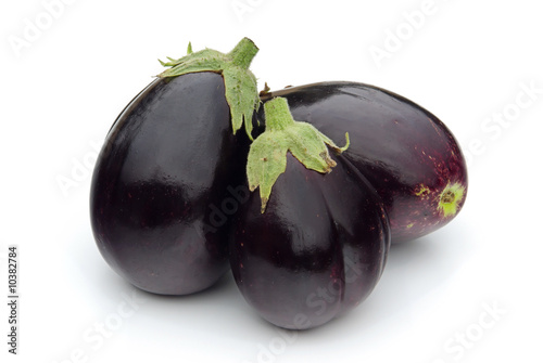 Aubergine 13