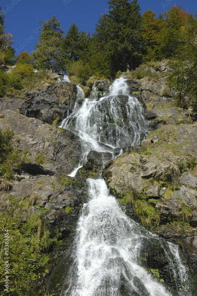 Fototapeta premium Wasserfall