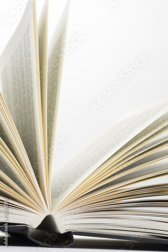 book pages on white background close-up