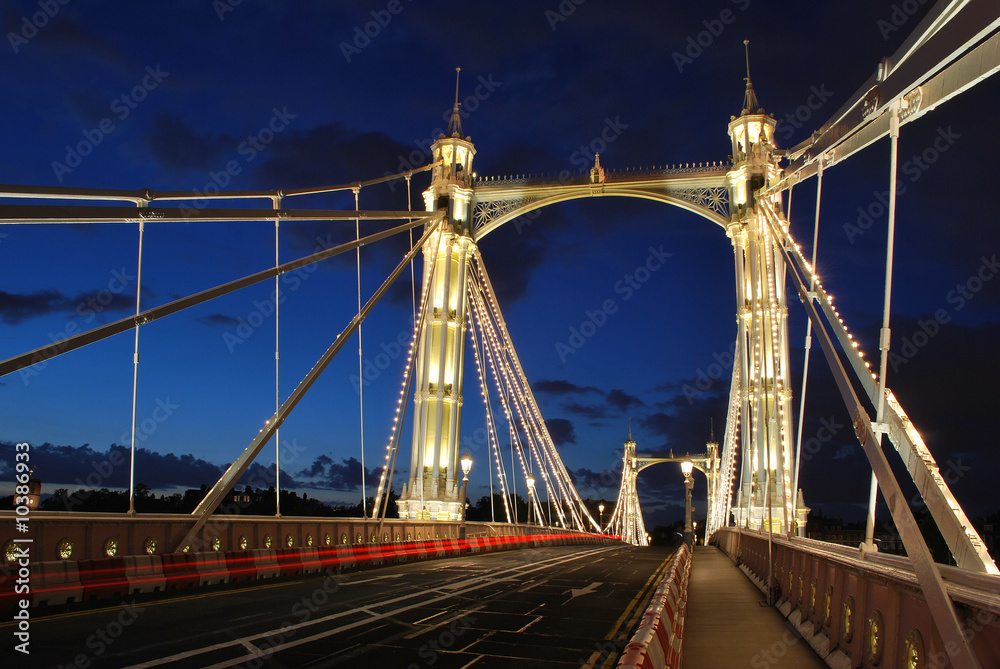 Naklejka premium Albert Bridge at night