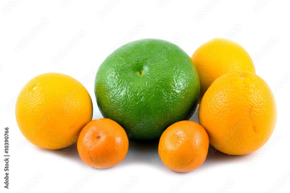citrus fruits isolated on a white background citrus fruits isolated on a white background