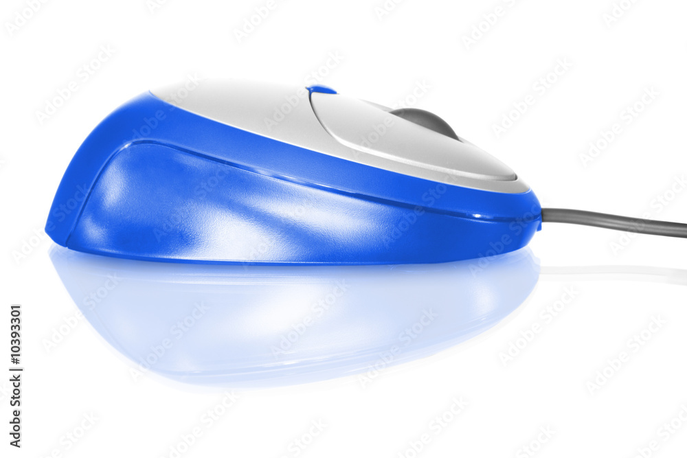Computer mouse isolated on white with reflection Computer mouse isolated on white with reflection