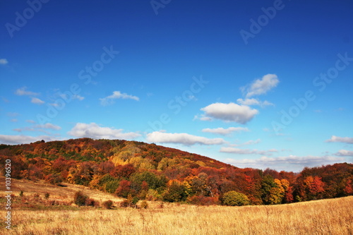 Autumn landscapes photo