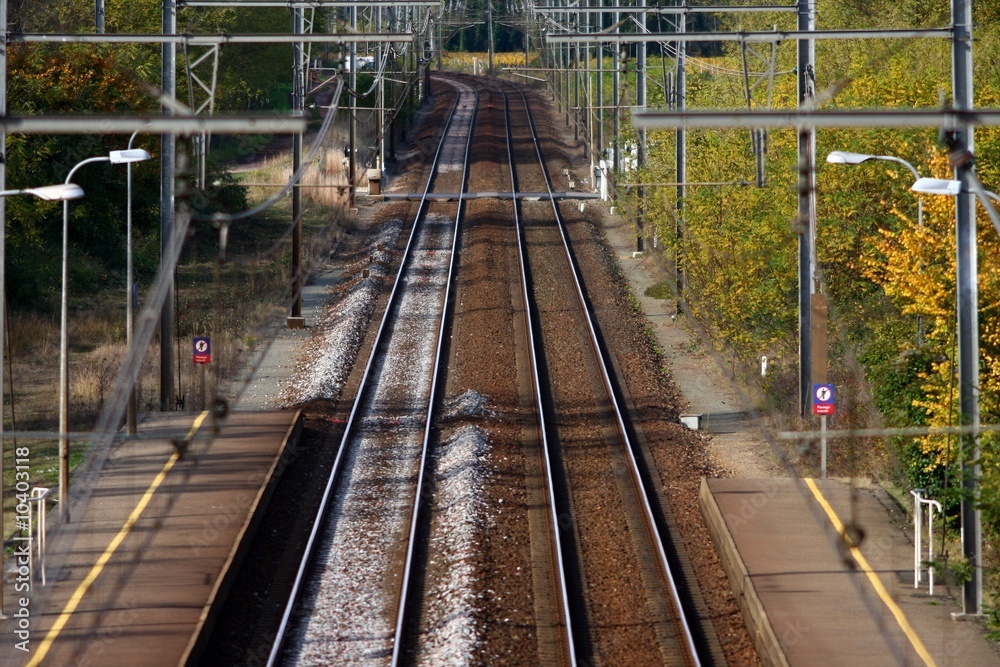Fototapeta premium réseau ferroviaire