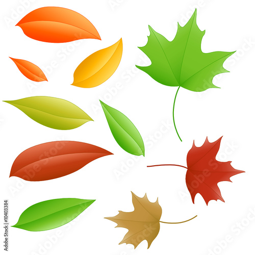 Herbstlaub