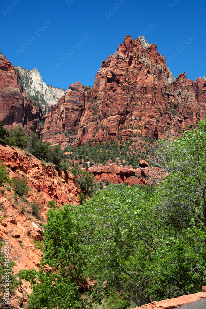 Zion National Park, USA..