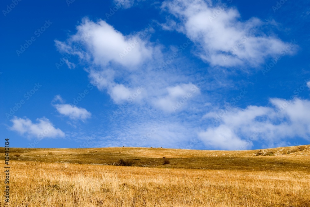 bright day in the steppe