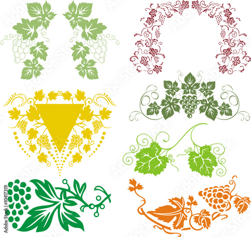 vine composition