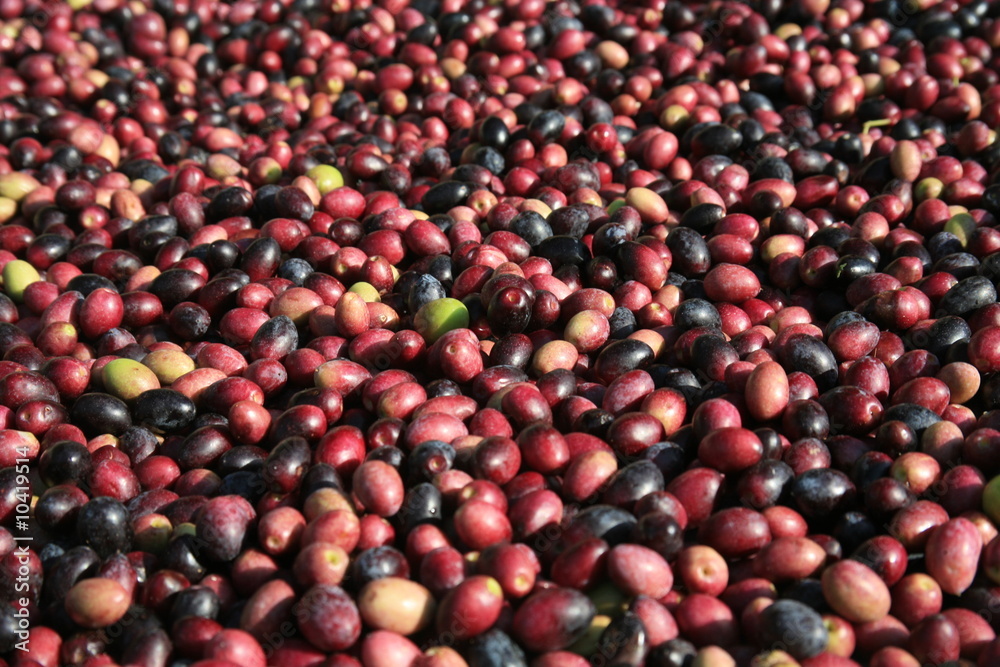Olives