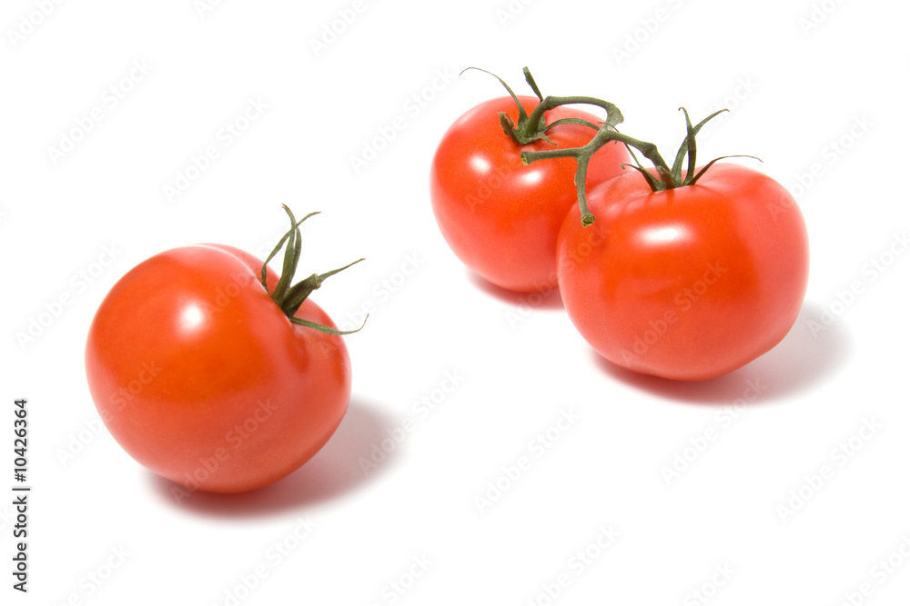 fasten tomato isolated on the white background fasten tomato isolated on the white background