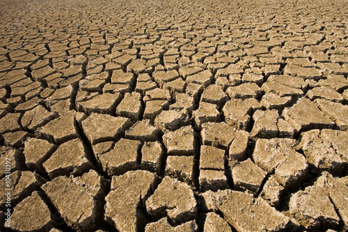 Dry cracked surface