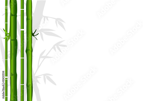 bambous verts