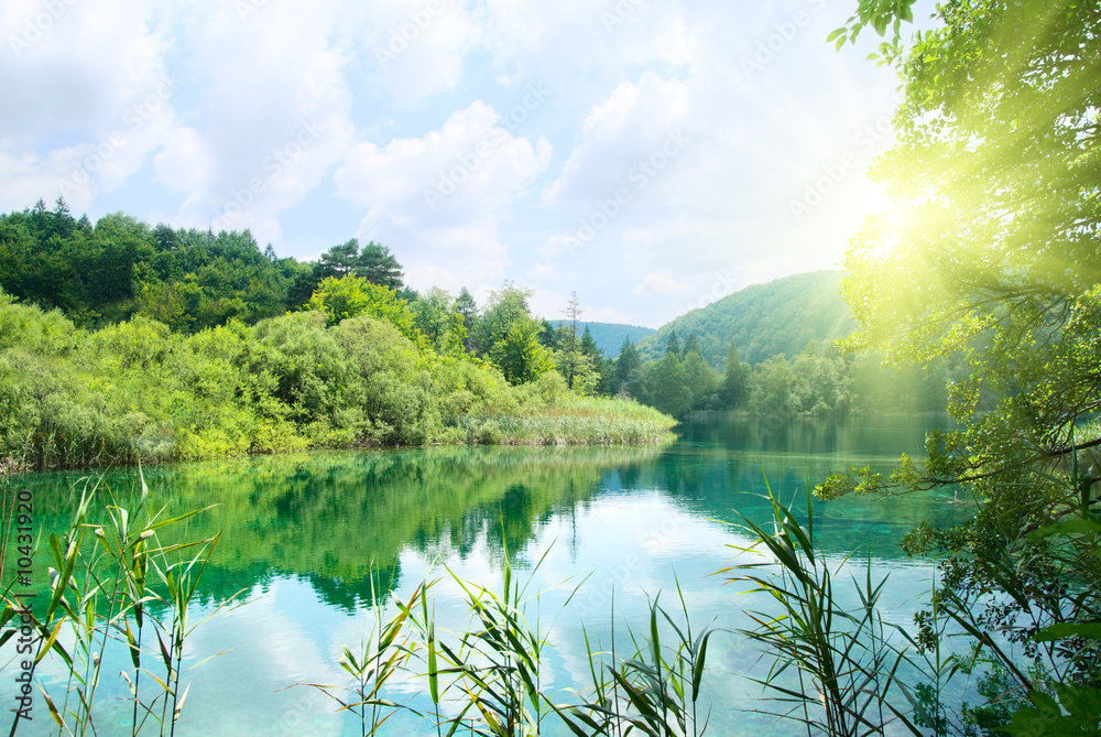 Naklejka premium lake in deep forest