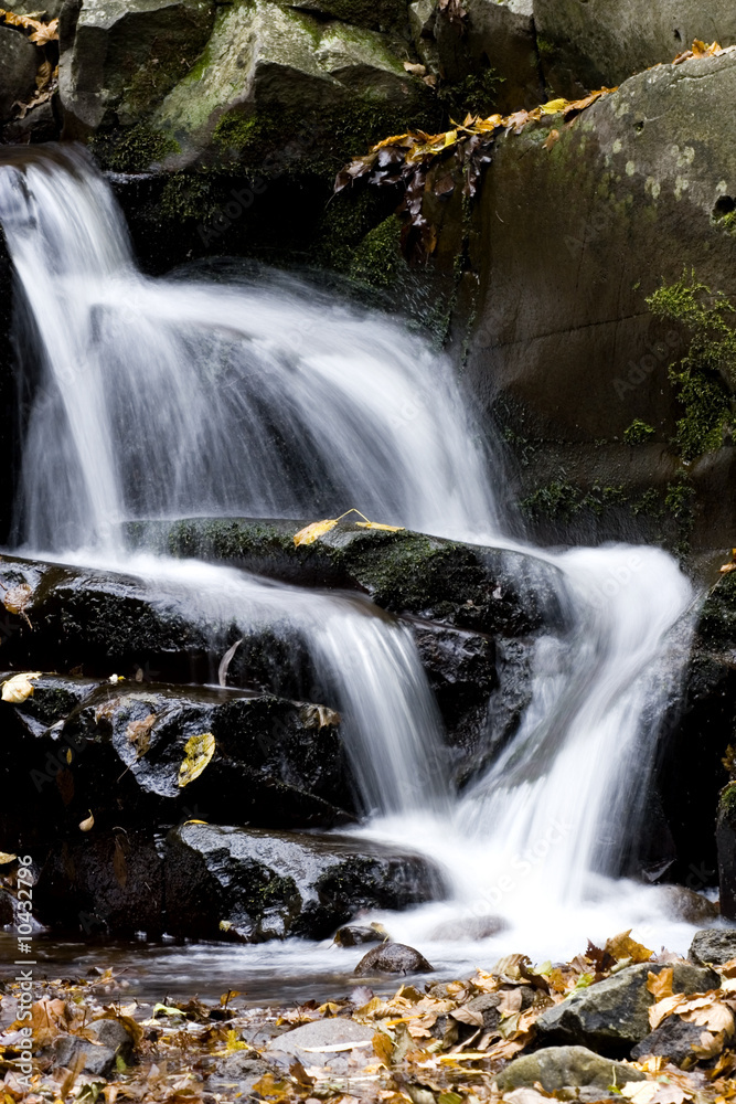 Obraz premium Autumn stream