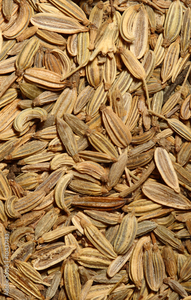 fine macro image of brown seed texture fine macro image of brown seed texture